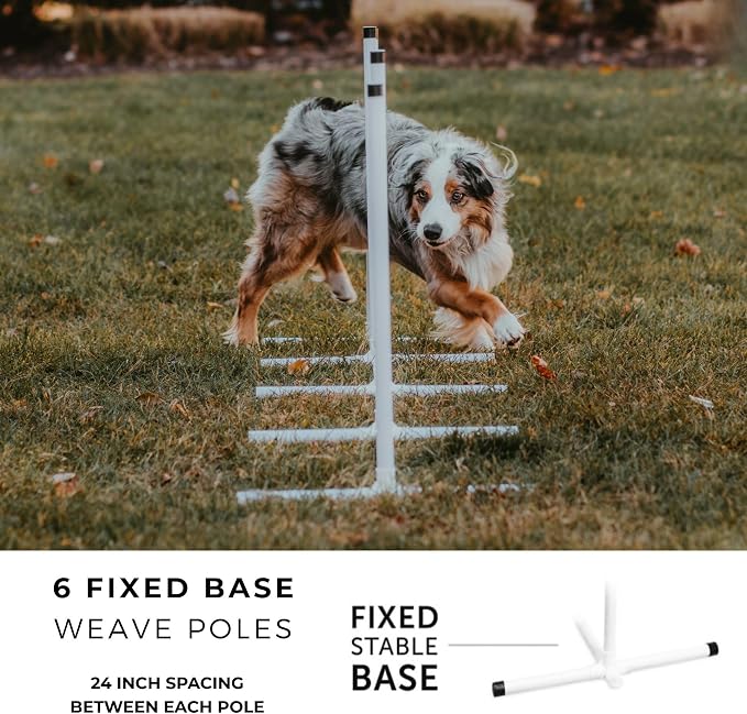 Better Sporting Dogs Premium Starter Dog Agility Set w/Safety-Focused Features - Image 6