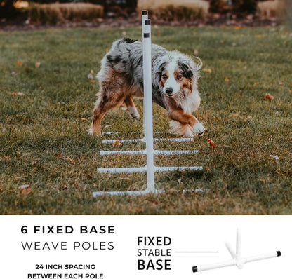 Better Sporting Dogs Premium Starter Dog Agility Set w/Safety-Focused Features - Image 6