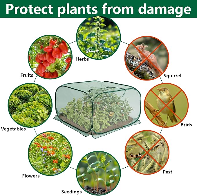 2 Pcs Pop Up Mesh Plant Cover, Garden Net Cage Guard Cover - Image 4