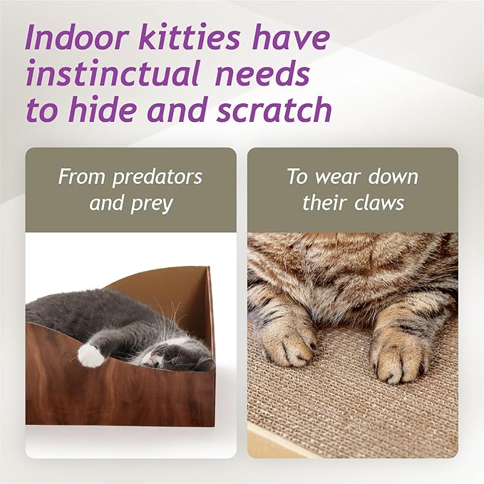 Hideaway Cat Scratcher Box for Indoor Cats - Image 4