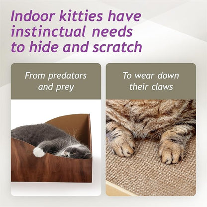 Hideaway Cat Scratcher Box for Indoor Cats - Image 4