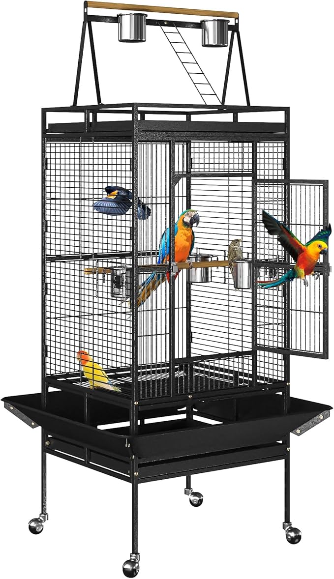 Nova Microdermabrasion 68-Inch Height Wrought Iron Standing Large Play Top Bird by NovaMicrodermabrasion