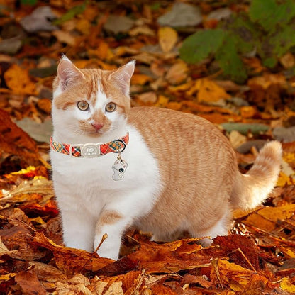 Cat Collar-2Pack Autumn Orange Plaid Kitten Collars-Halloween Plaid Breakaway - Image 6