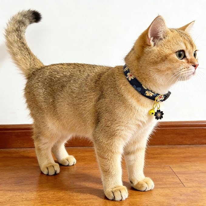 2 Pack Cotton Breakaway Cat Collars Set - Image 8