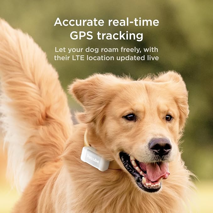 Petcube GPS Tracker for Dogs | Pet GPS Location Tracker - Image 2