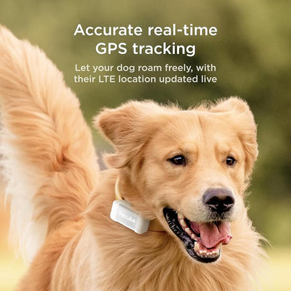 Petcube GPS Tracker for Dogs | Pet GPS Location Tracker - Image 2