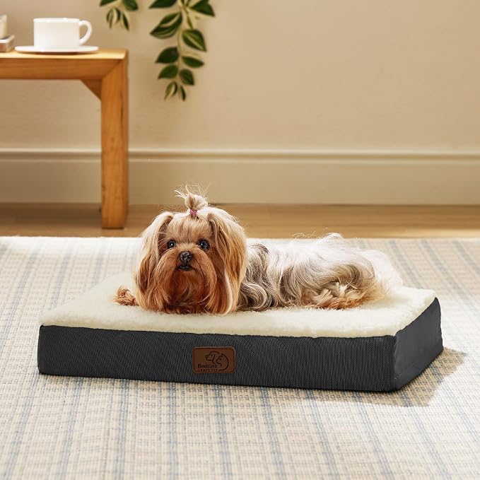 Bedsure Dog Bed for Small Dogs - Image 8