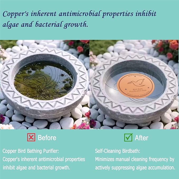 1Pack Bird Bath Copper Purification Disk | 0.6mm Reinforced 99.9% Pure Copper | - Image 4
