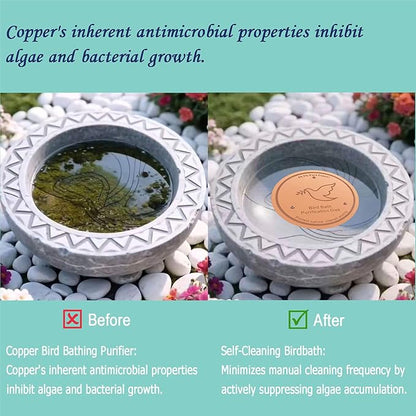 1Pack Bird Bath Copper Purification Disk | 0.6mm Reinforced 99.9% Pure Copper | - Image 4