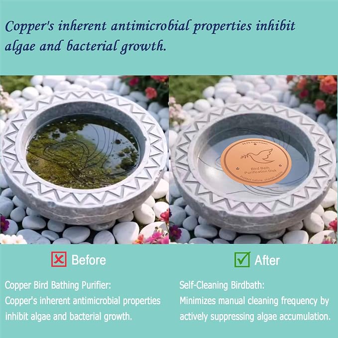 3Pack Bird Bath Copper Purification Disk | 0.6mm Reinforced 99.9% Pure Copper | - Image 4
