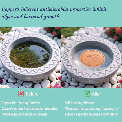 3Pack Bird Bath Copper Purification Disk | 0.6mm Reinforced 99.9% Pure Copper | - Image 4