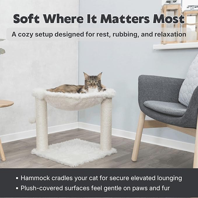 TRIXIE Baza XXL Cat Scratching Posts, Indoor Cat Furniture - Image 4