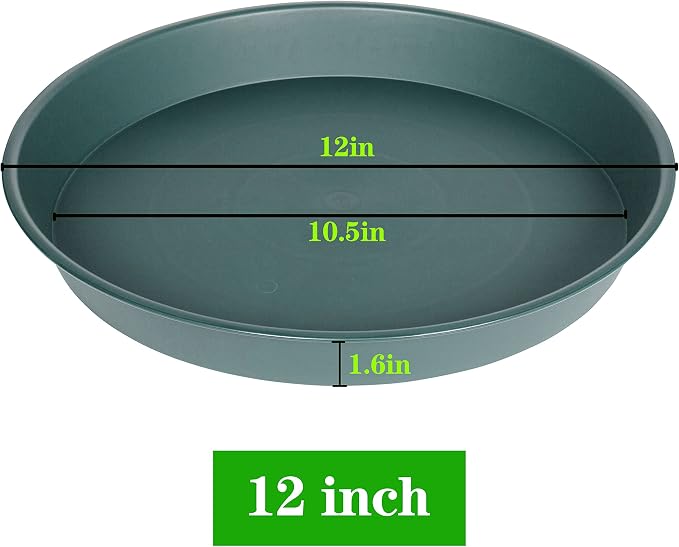6 Pack of 12 inch Plant Saucer Bird Bath Bowl, Heavy Duty Plastic Plant Saucer - Image 2