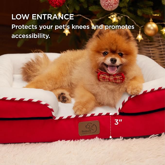 Bedsure Orthopedic Dog Beds for Small Dogs - Image 9
