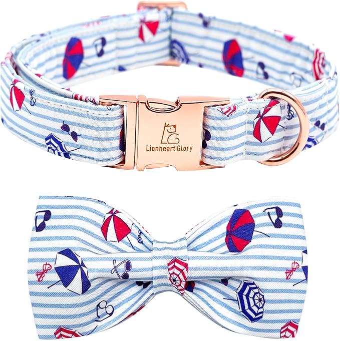 Lionheart glory Dog Collar by LionheartGlory