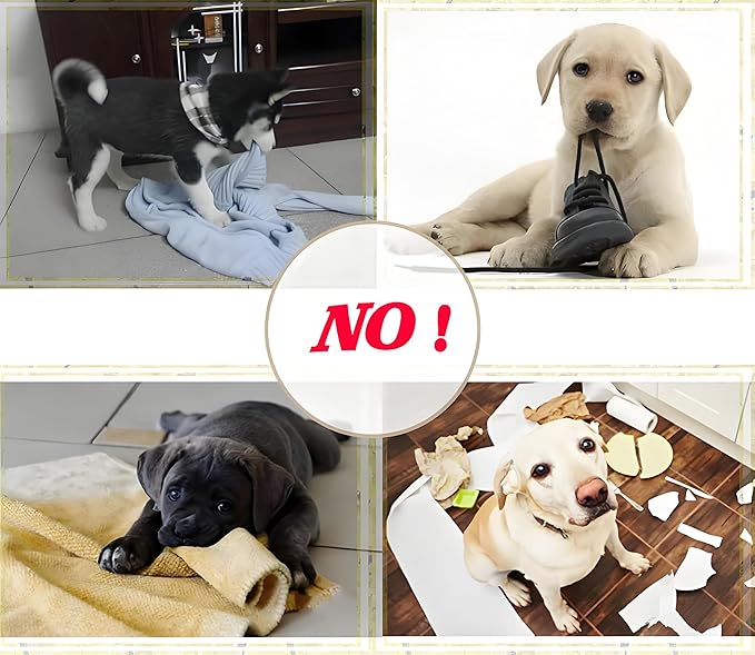 Dog Chew Toy, Bite Resistant Training Toy - Image 7