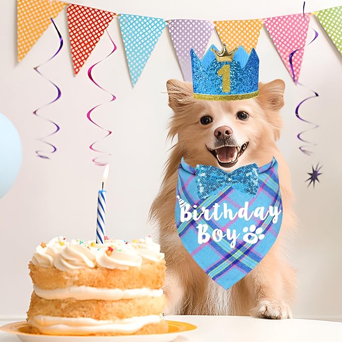 Dog Birthday Party Supplies - Image 2