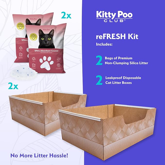 Kitty Poo Club Leakproof Disposable 2-Pack Cat Litter Box - Image 3