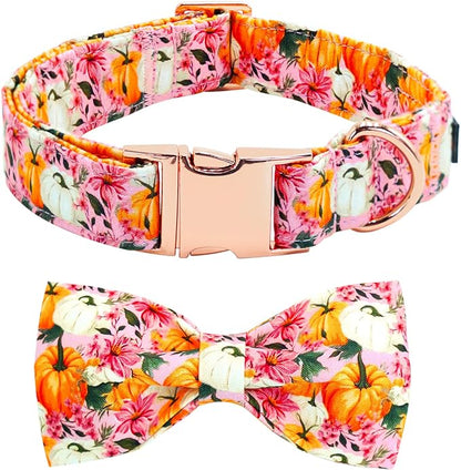 Fall Dog Collar by BoboRainbow