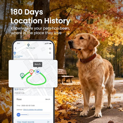 SEEWORLD Cat Tracker 4G Mini GPS Pet Tracker Device - Image 3