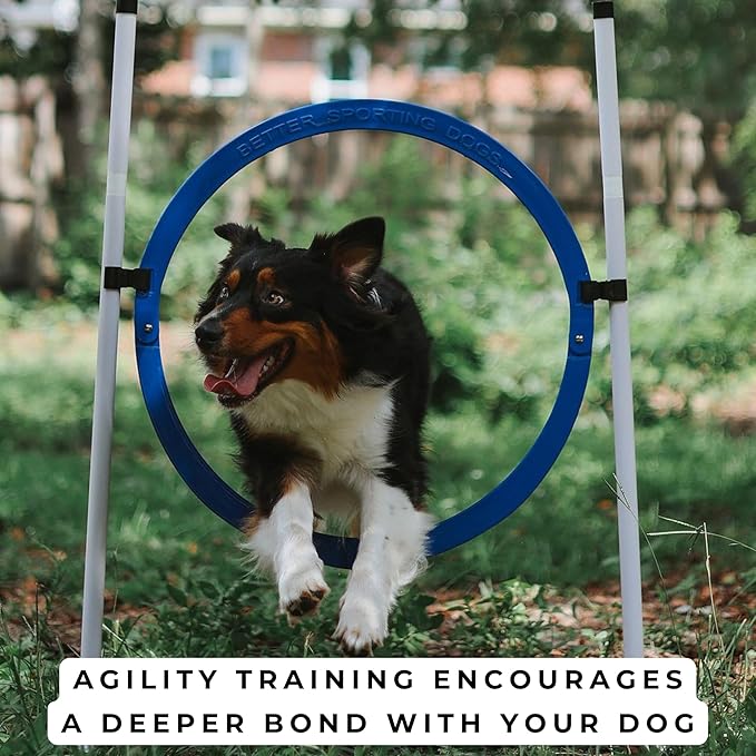 Better Sporting Dogs 4 Pack Adjustable Dog Agility Jumps w/Safety-Focused - Image 8