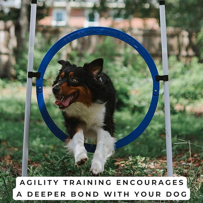 Better Sporting Dogs 4 Pack Adjustable Dog Agility Jumps w/Safety-Focused - Image 8