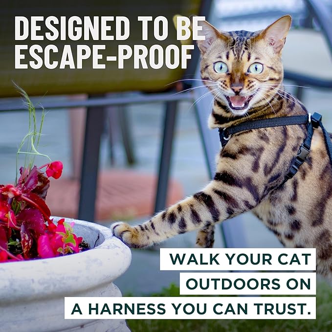 Houdini™ Escape Proof Kitten Harness and Leash Set by OutdoorBengal – Extra - Image 2