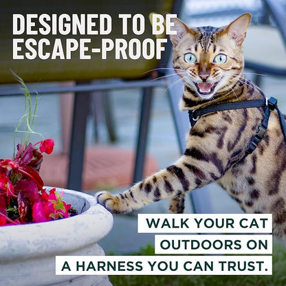 Houdini™ Escape Proof Kitten Harness and Leash Set by OutdoorBengal – Extra - Image 2
