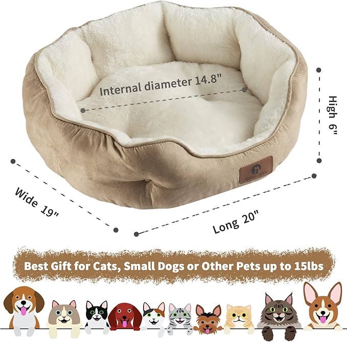 Asvin Small Dog Bed for Small Dogs, Cat Beds for Indoor Cats, Pet Bed for Puppy - Image 3