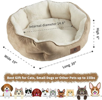 Asvin Small Dog Bed for Small Dogs, Cat Beds for Indoor Cats, Pet Bed for Puppy - Image 3