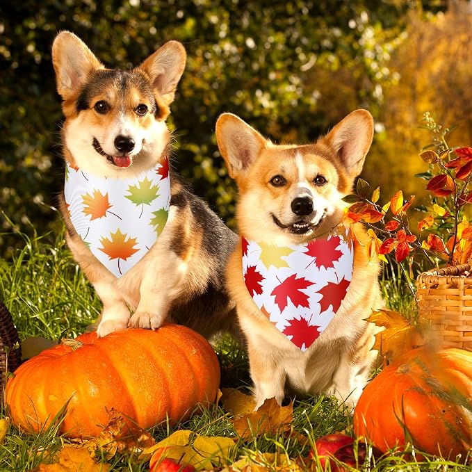Abbylike 50 Pcs Fall Thanksgiving Dog Bandanas Bulk Maple Leaves Bandanas - Image 4