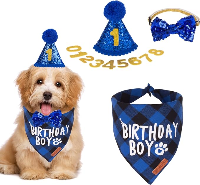 ADOGGYGO Dog Birthday Party Supplies, Pet Party Hat by ADOGGYGO