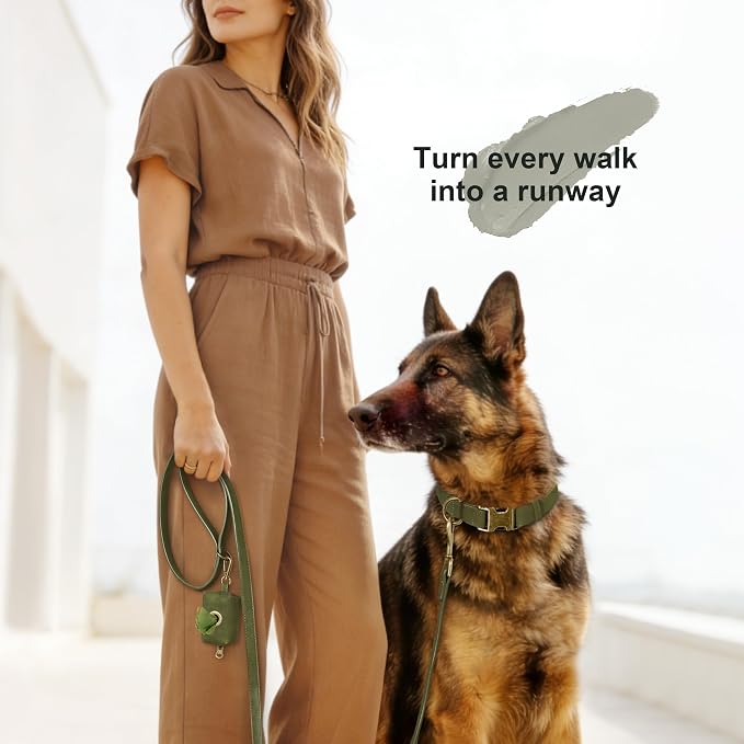 Didog Soft PU Leather Dog Collar, Stylish Quick Released Dog Collars - Image 4
