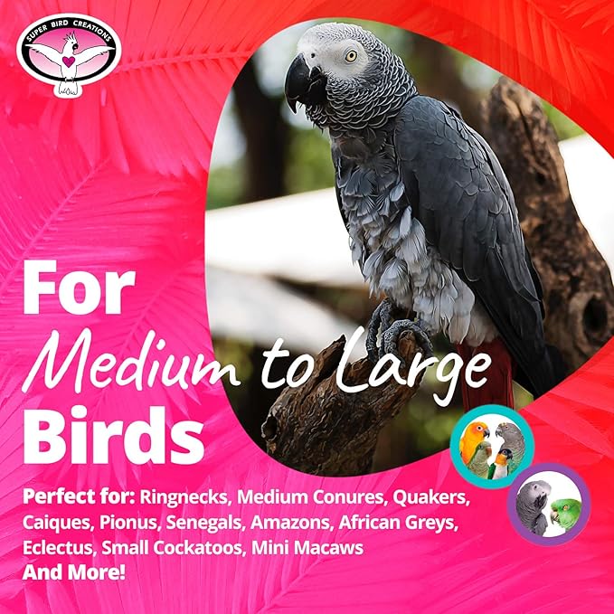Super Bird Creations SB751 PVC Forager Bird Toy, Medium/Large Bird Size - Image 3