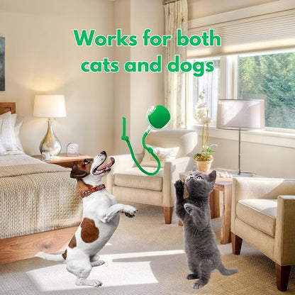Speedy Tail 2.0 Cat Toy, 360°Automatic Rolling Ball, Smart Interactive Cat Toy - Image 7