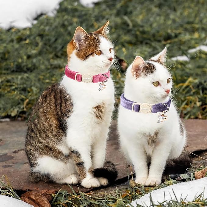 ARING PET 2 Pack Cat Collars-Cute Breakaway Cat Collar - Image 4