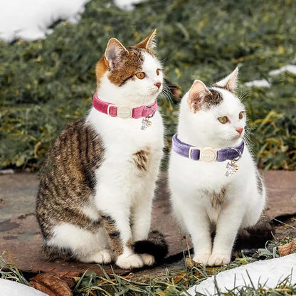 ARING PET 2 Pack Cat Collars-Cute Breakaway Cat Collar - Image 4