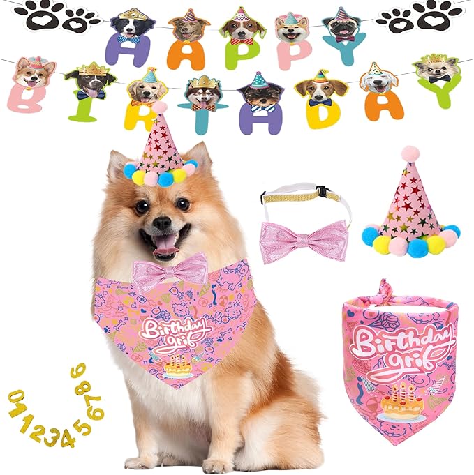 Happy Birthday Dog Party Supplies Kit by BeFirst