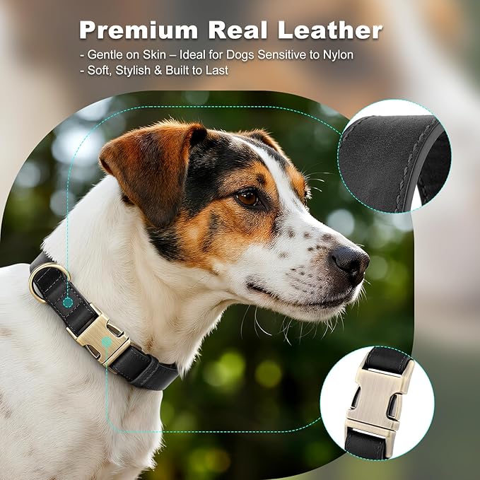 Plutus Pet Genuine Leather Dog Collar – Adjustable Pet Collar - Image 3