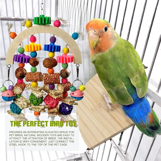 Bird Toys - Natural Corncob Wooden Mango Solid Chew Toys - Image 4