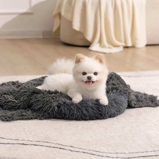 gogobunny Waterproof Dog Blanket by gogobunny