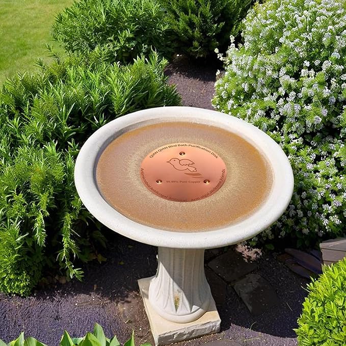 QIANQIAN Bird Bath Copper Disk, Copper Bird Bath Purification Disk - Image 3