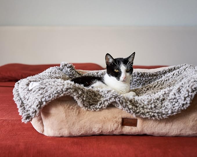 Pet Parents Pet Blanket - Image 8