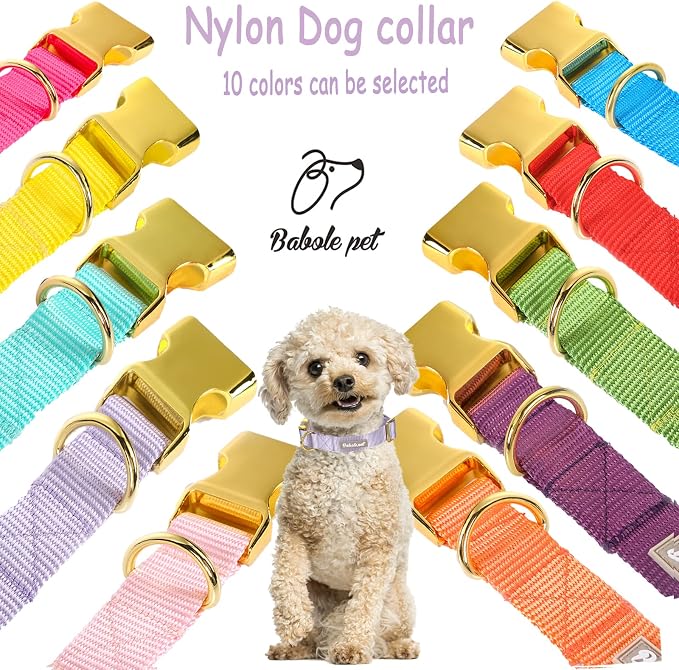 Nylon Dog Collar - Image 7