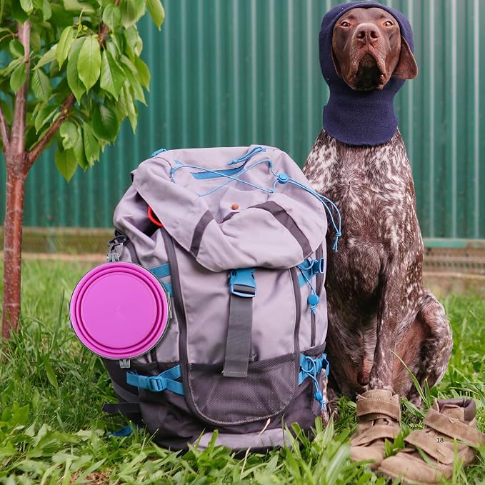 Loving Pets Bella Roma Collapsible Dog Bowls - Image 7