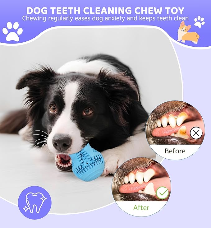 Durable Dog Chew Toy for Teeth Cleaning, Natural Rubber Dental Toy for Small - Image 5