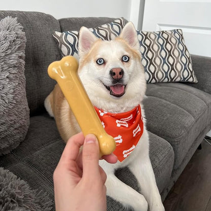 Nylabone Power Chew Classic Bone Chew Toy - Image 2