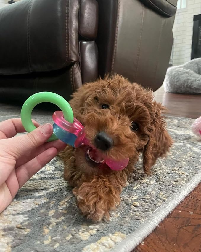 Nylabone Puppy Pacifier Chew Toy, Teething Toys - Image 8