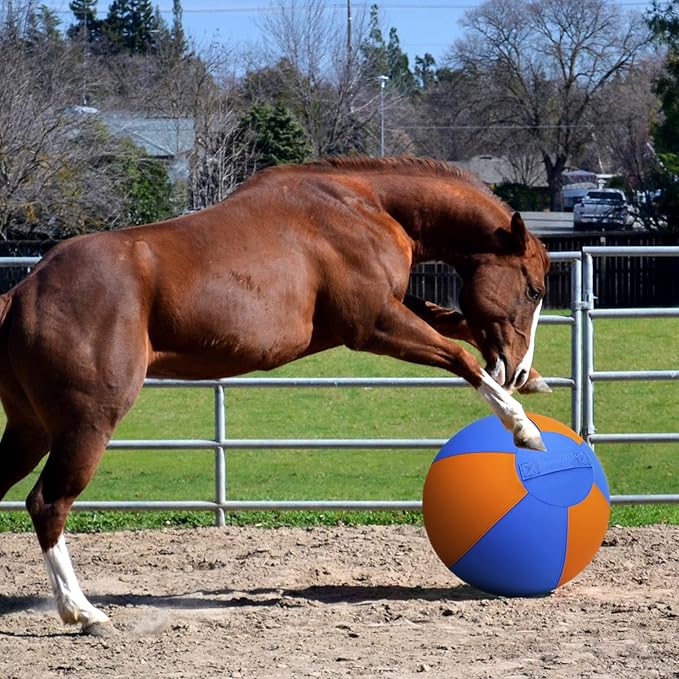 Herding Ball for Dogs and Horses - Image 8