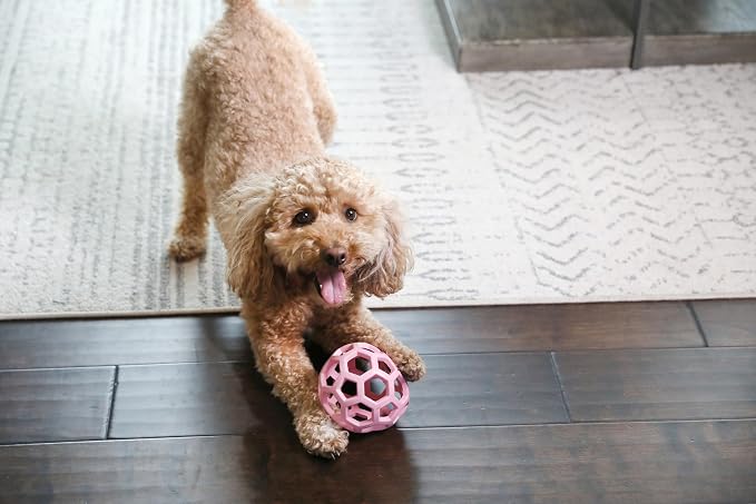 JW Pet HOL-ee Roller™, Dog Toy Puzzle Ball, Natural Rubber - Image 7